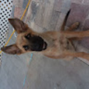 Meet your Posher, Bernardita